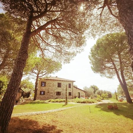 La Bertinora Bed & Breakfast Villa Verucchio Bagian luar foto