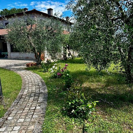 La Bertinora Bed & Breakfast Villa Verucchio Bagian luar foto