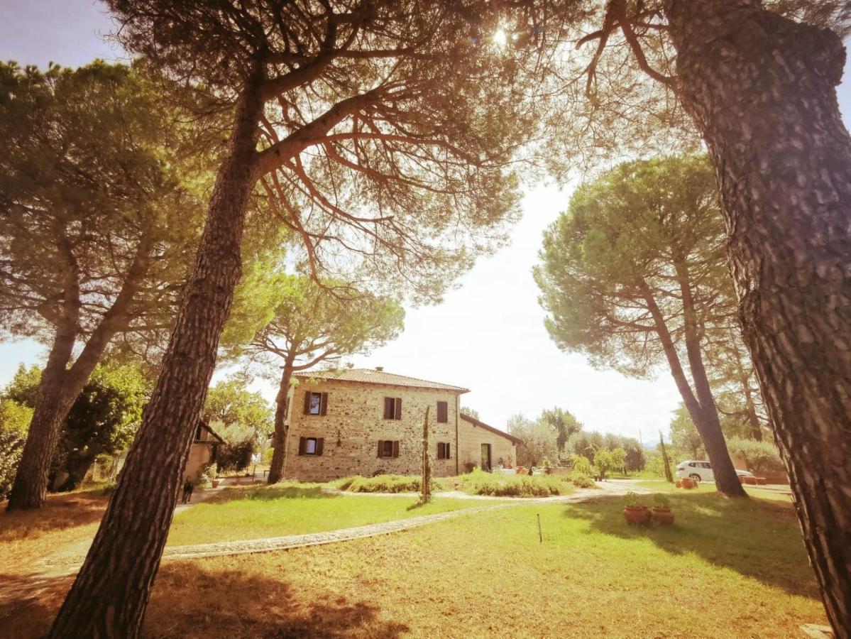 La Bertinora Bed & Breakfast Villa Verucchio Bagian luar foto
